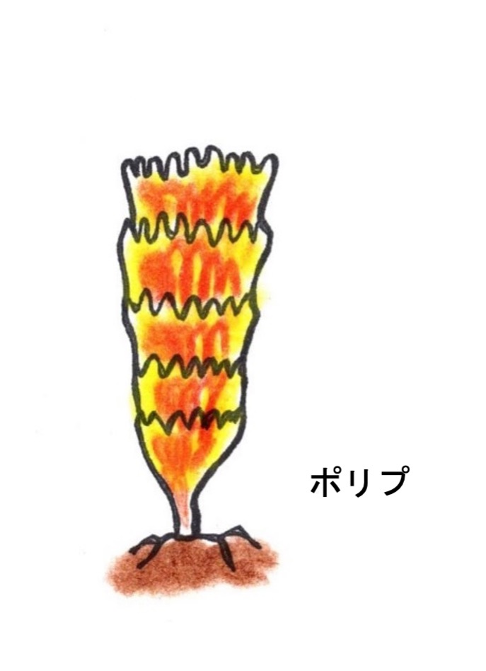 分裂イラスト